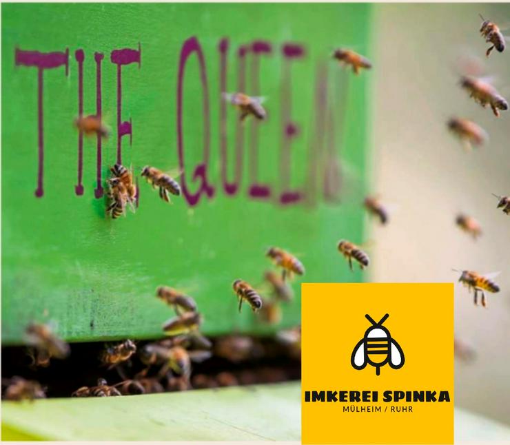 Bild 2: Bienen Patenschaft