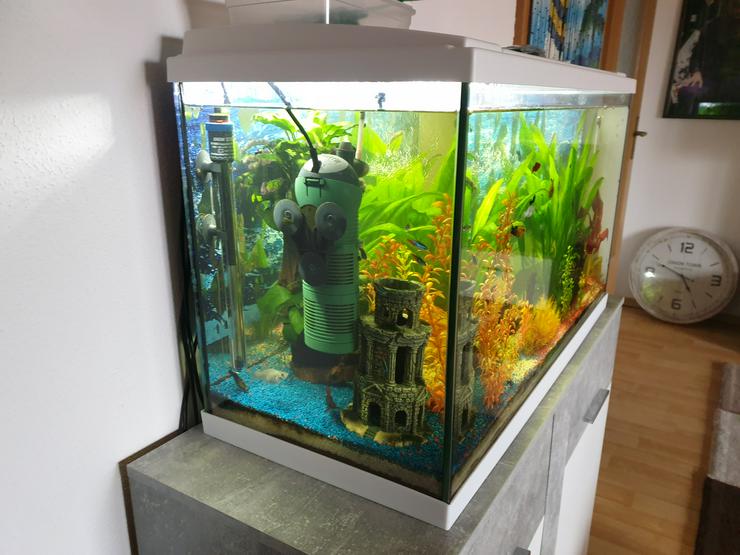 Bild 3: Verkaufe neuwertige 125l Aquarium samt Zubehör 
