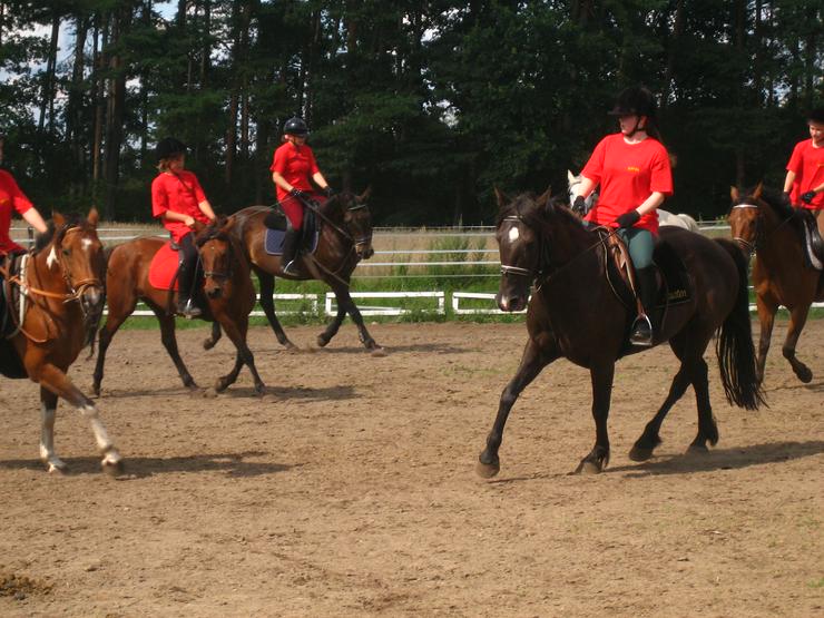 Bild 2: Reiterferien Reitercamp Reitferien ab 269,- EUR bei Berlin pro Kind und Woche