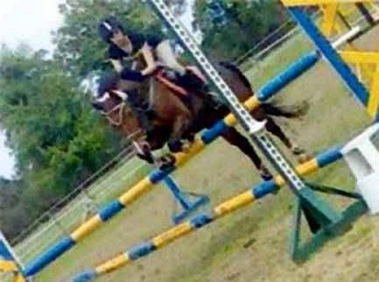 Bild 3: Reiterferien Reitercamp Reitferien ab 269,- EUR bei Berlin pro Kind und Woche