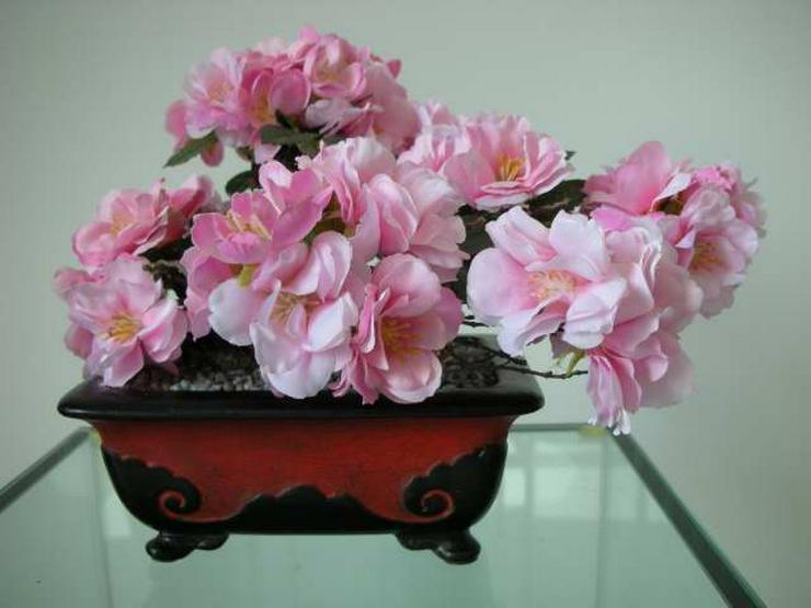 Ein Leben ohne Bonsai ist zwar möglich, aber sinnlos! - Vasen & Kunstpflanzen - Bild 12