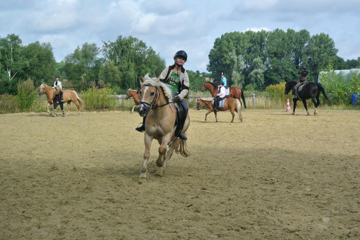 Bild 4: Reitkurse/Reitunterricht in kleinen Gruppen
