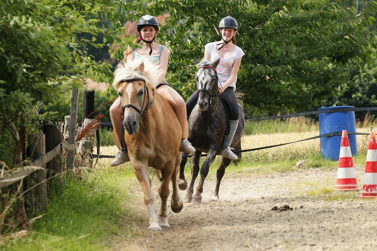 Bild 2: Reitkurse/Reitunterricht in kleinen Gruppen