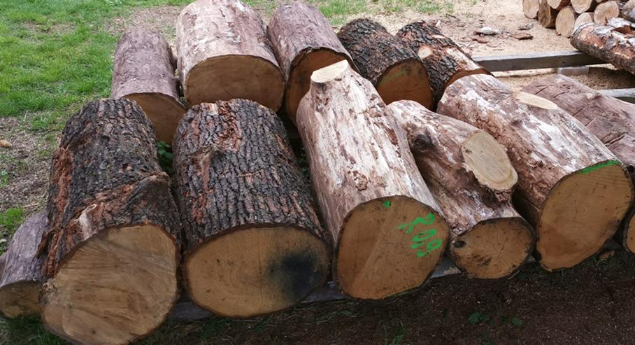 Kaminholz Brennholz Feuerholz Kamin fertig gesägt und gespalten - Holz- & Pelletheizung - Bild 6