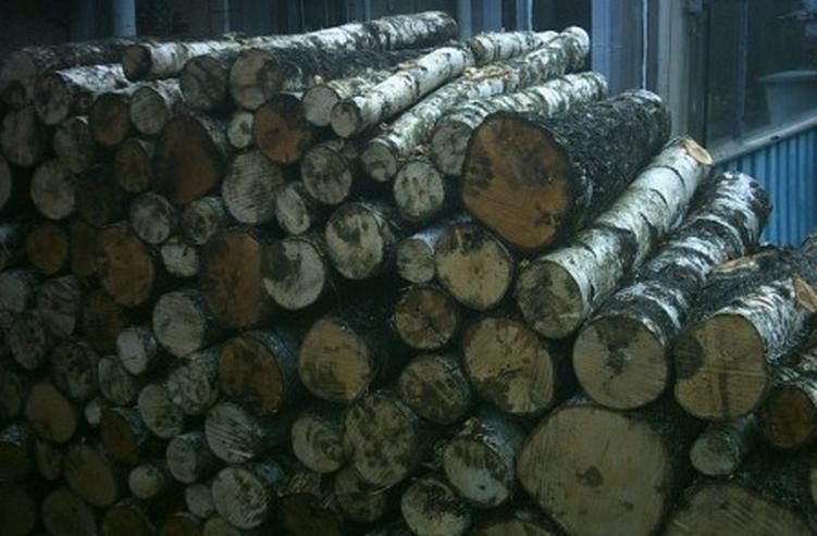Bild 5: Kaminholz Brennholz Feuerholz Kamin fertig gesägt und gespalten