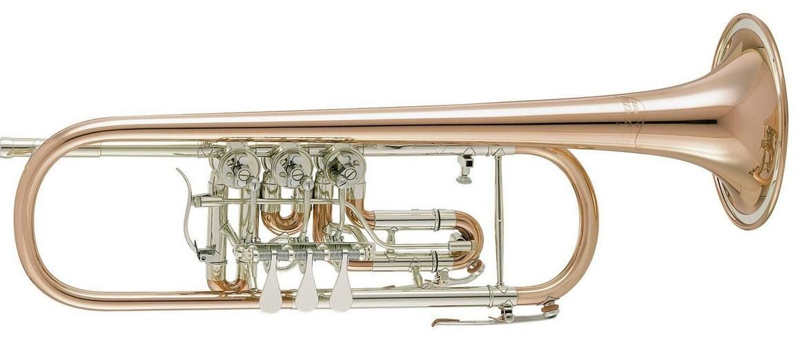 V.F. Cerveny CTR 701 R Konzert - Trompete aus Goldmessing mit Neusilberkranz, Neuware - Blasinstrumente - Bild 1