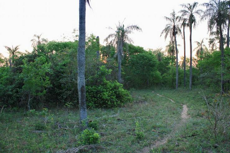 Bild 8: Grundstück in Paraguay