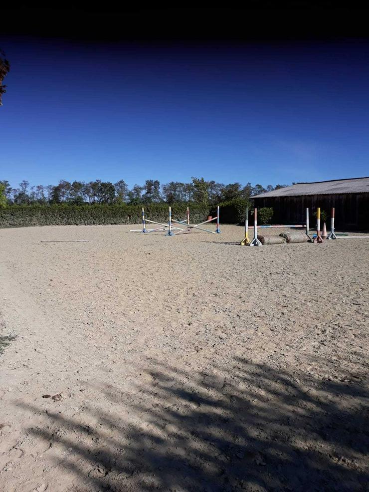 Bild 4: Reiterhof in Ungarn