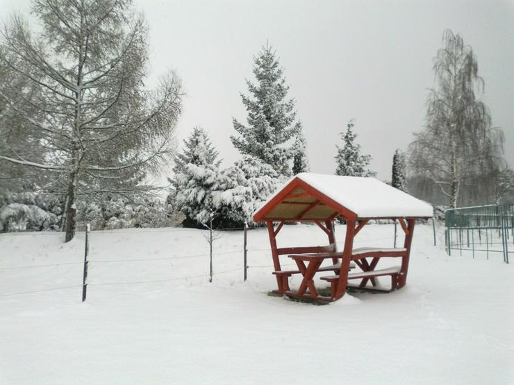 Bild 8: Reiterhof in Ungarn