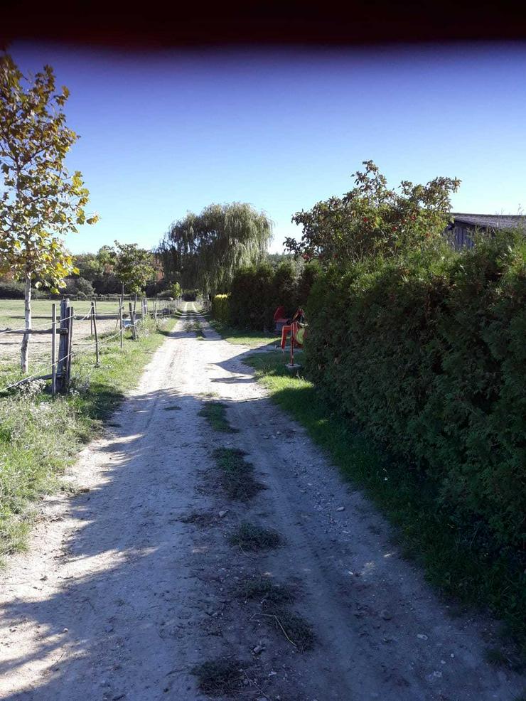 Bild 6: Reiterhof in Ungarn
