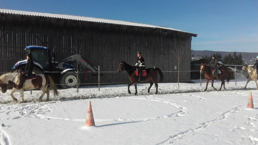 Bild 2: Reiterhof in Ungarn
