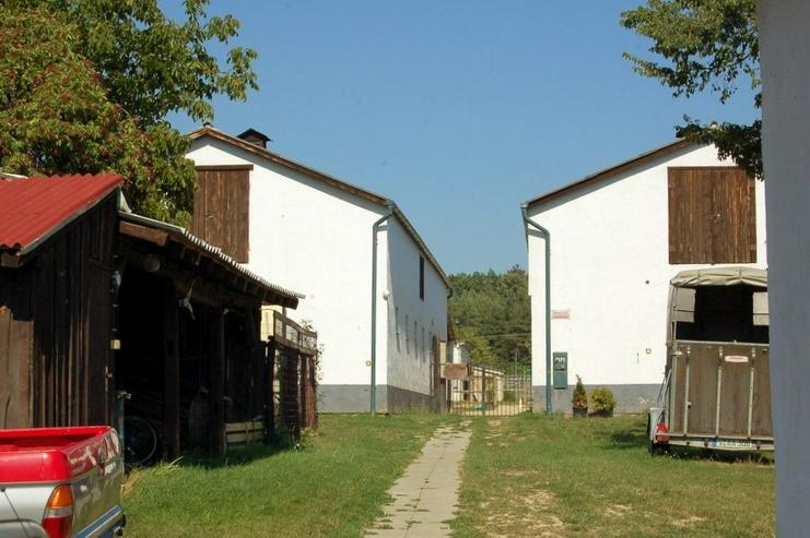 Bild 5: Reiterhof in Ungarn
