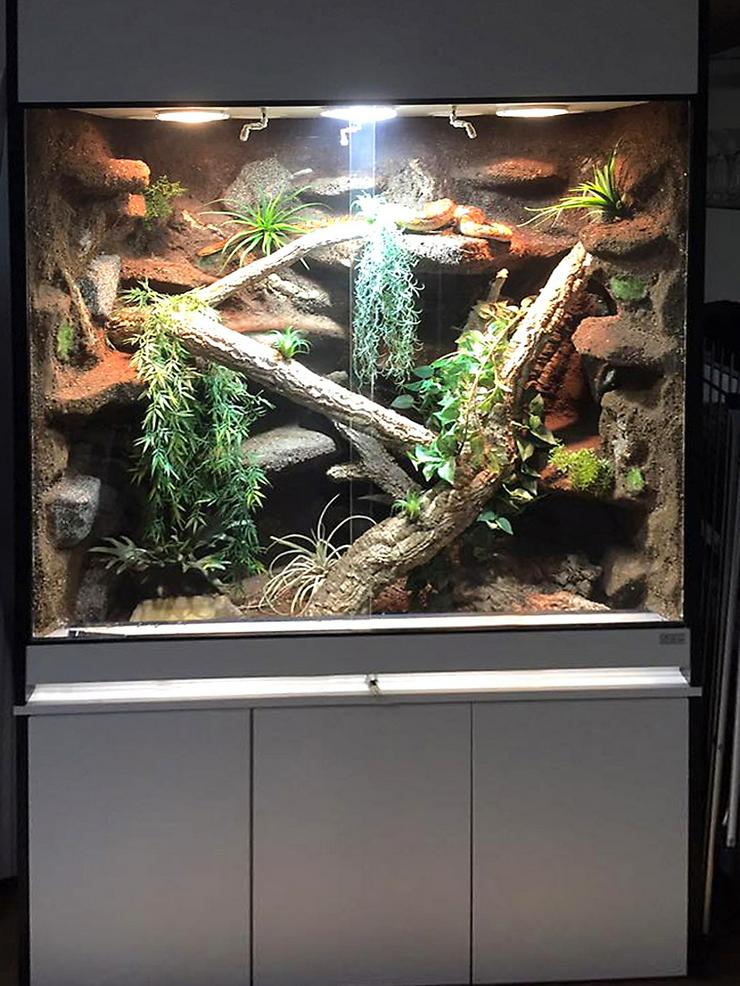 Bild 4: Terrarium für Schlangen