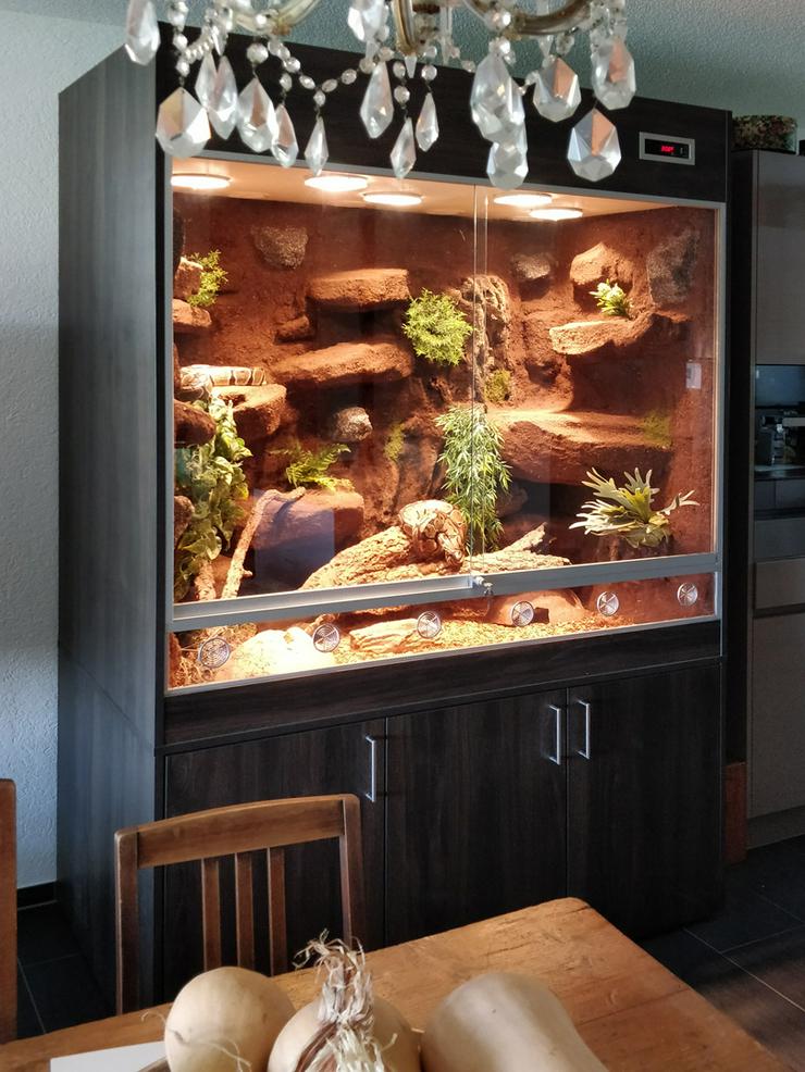 Bild 3: Terrarium für Schlangen