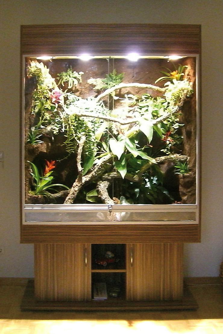 Bild 11: Terrarium (Regenwald) für ein Chamäleon (Typ R03)