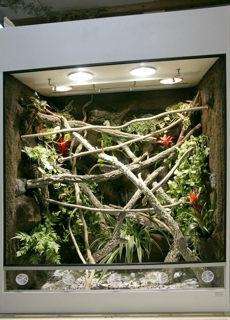 Bild 8: Terrarium (Regenwald) für ein Chamäleon (Typ R03)
