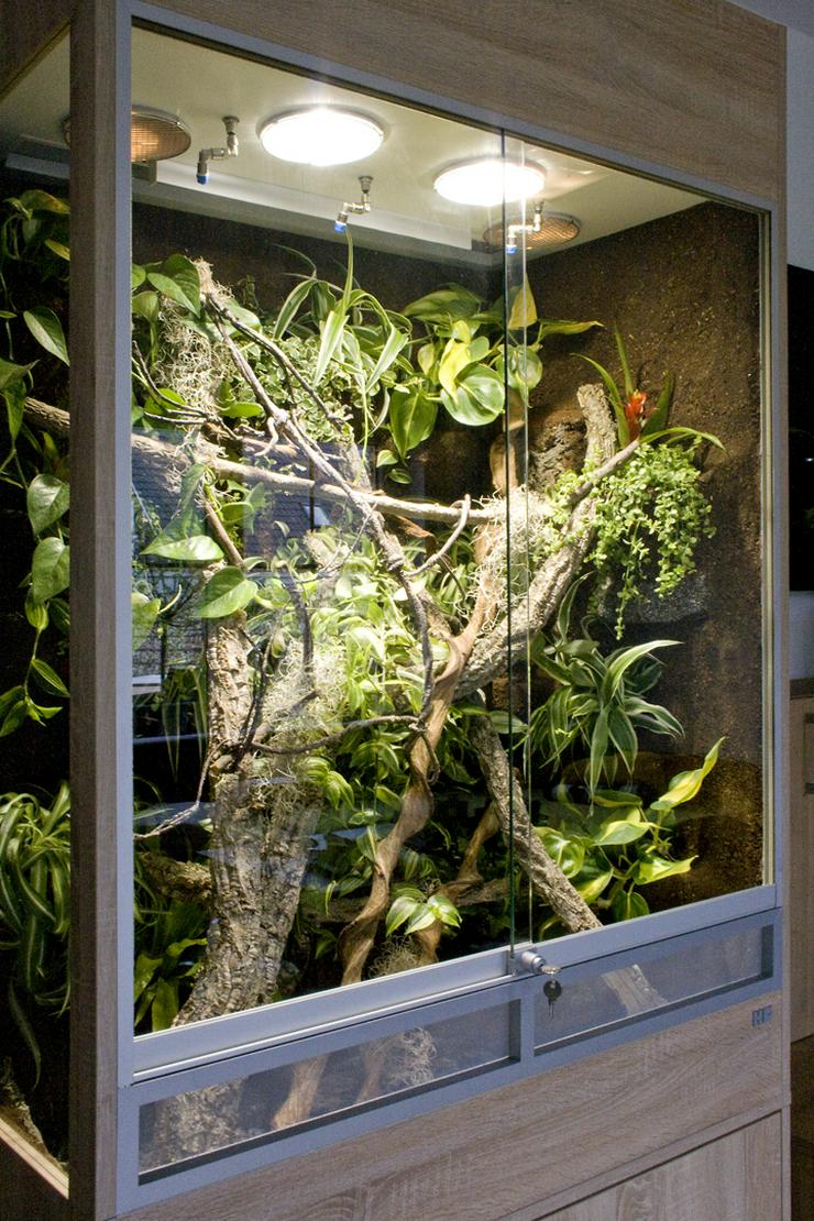 Bild 7: Terrarium (Regenwald) für ein Chamäleon (Typ R03)