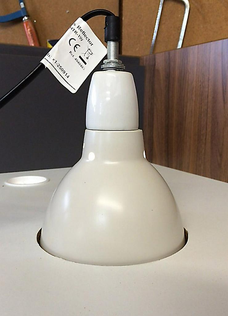 Bild 12: Terrarium (Regenwald) für ein Chamäleon (Typ R03)