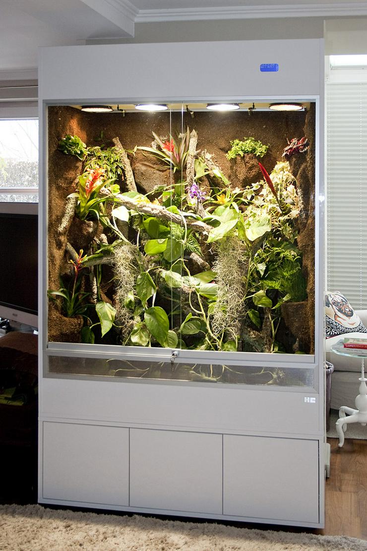 Bild 2: Terrarium (Regenwald) für ein Chamäleon (Typ R03)