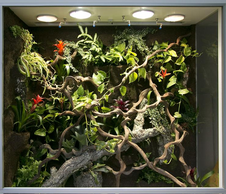 Bild 9: Terrarium (Regenwald) für ein Chamäleon (Typ R03)