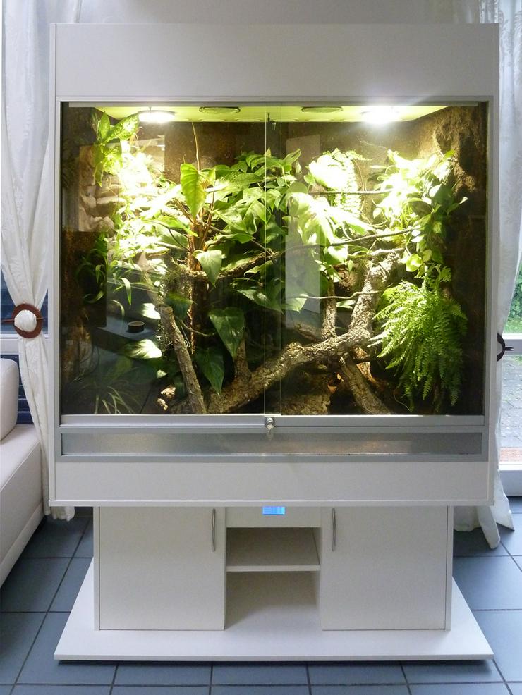 Bild 13: Terrarium (Regenwald) für ein Chamäleon (Typ R03)