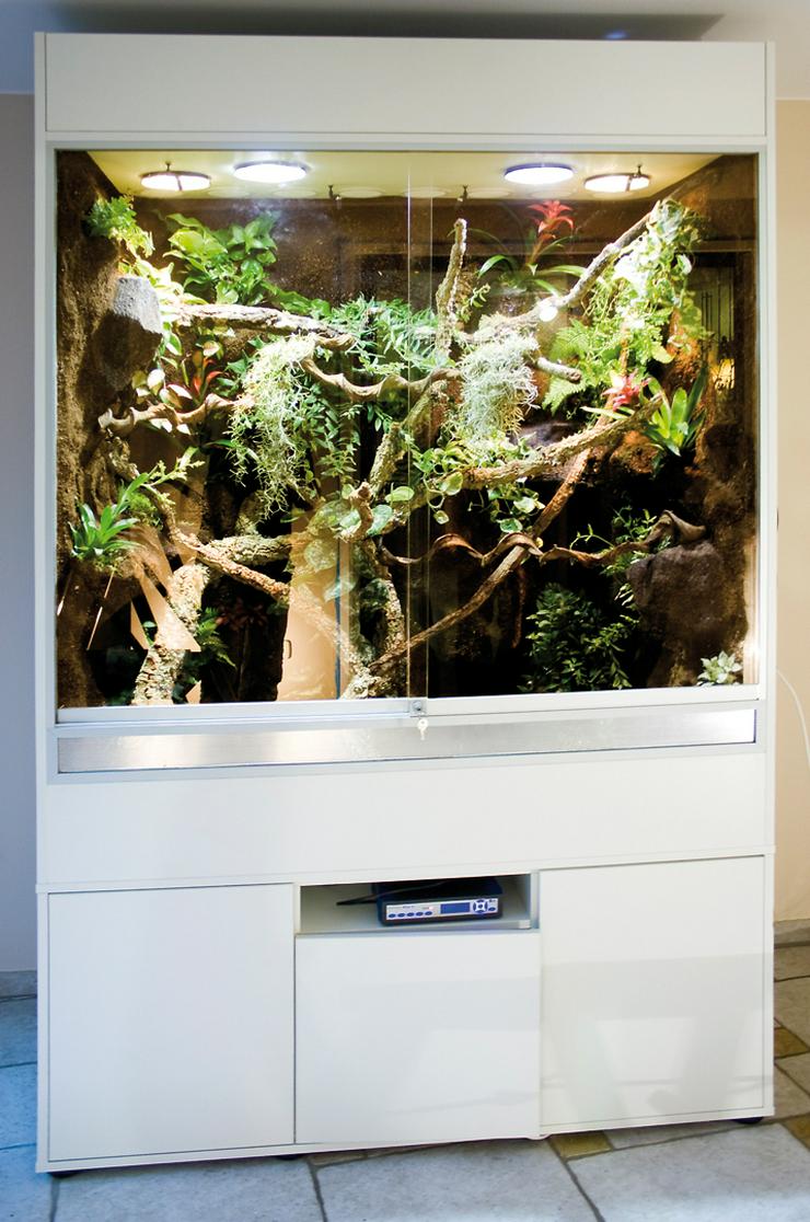Bild 10: Terrarium (Regenwald) für ein Chamäleon (Typ R03)