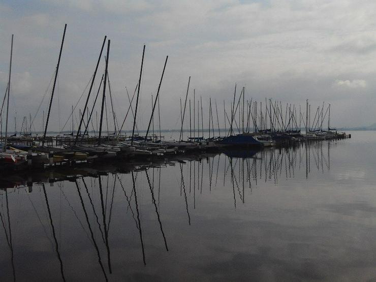 Bild 17: Bootsverleih Kielhorn / Steg N 21 am Steinhuder Meer