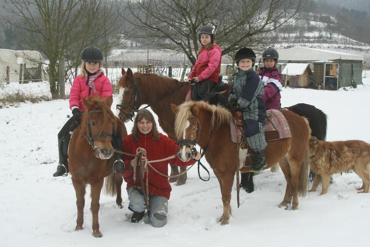 Kindergeburtstage auf dem Bauernhof./ Pferdehof - Freundschaft & Freizeitbegleitung - Bild 1