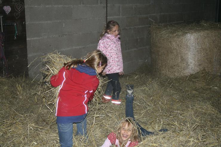 Bild 6: Kindergeburtstage auf dem Bauernhof./ Pferdehof