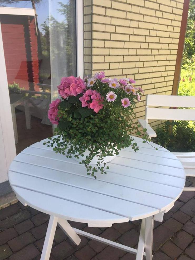 Bild 4: Ferienwohnung im schönen Cuxland