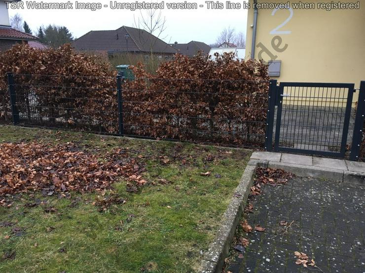 Bild 13: Zaunreich Zaunpaket Nr. 1 über 30 lfm, incl. 1 Toranlage 1-flügelig; bundesweite Lieferung (außer Inseln)