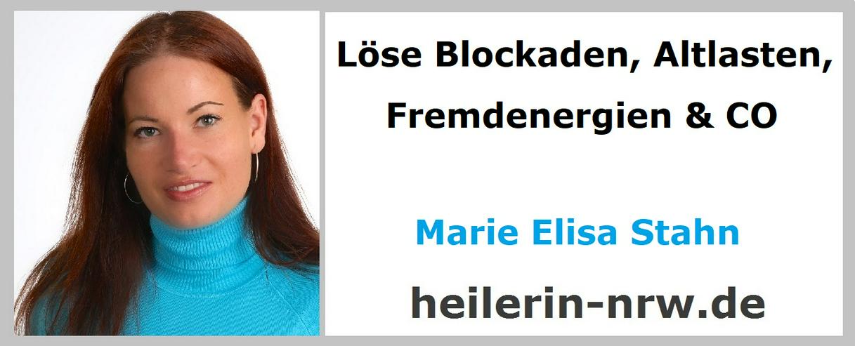 Bild 5: Kurse zum Selbst-Studium inkl. Zertifikat ab 29€