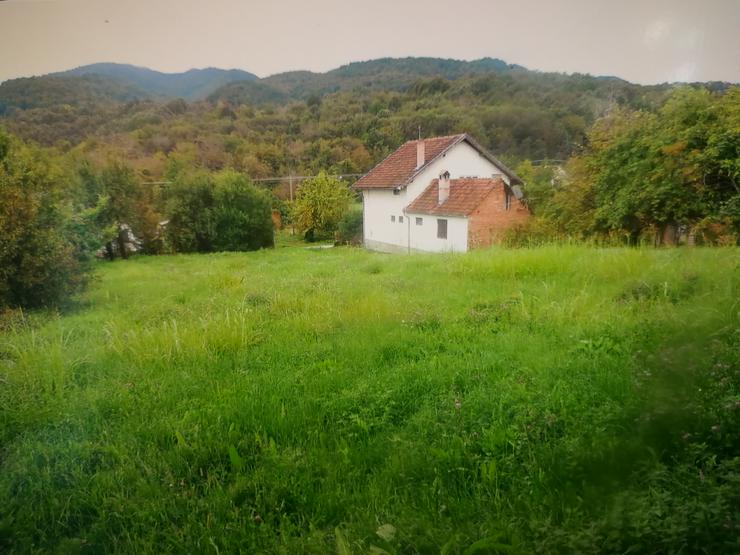 Bild 3: Bauernhof in Kroatien zu verkaufen