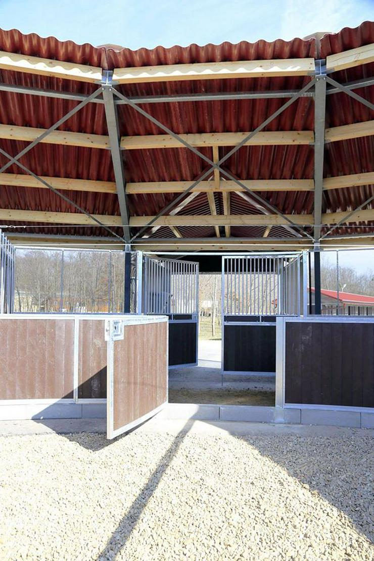 Bild 13: Hufschlagüberdachung und Longierhallen als Wetterschutz