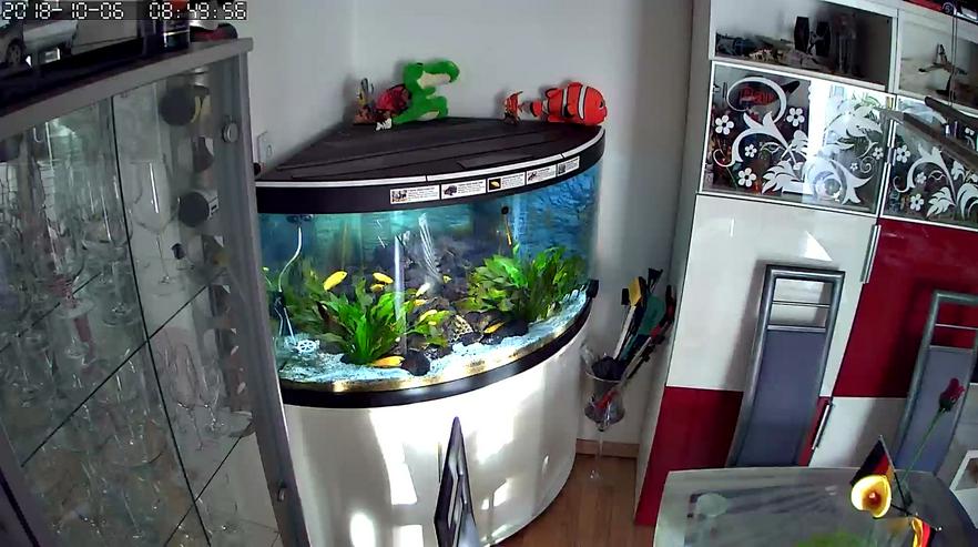 Komplett Aquarium Fluval Venezia 350 Liter mit Schrank und Besatz - Aquarien - Bild 1