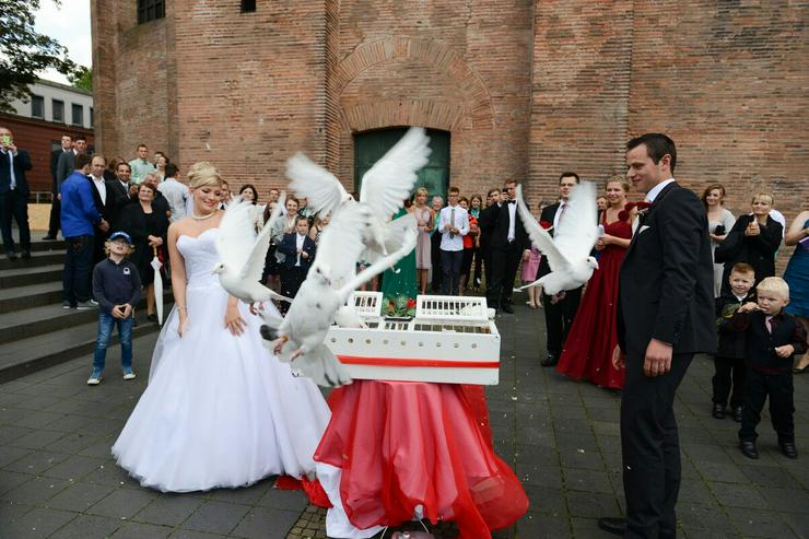 Bild 7: Weiße Hochzeitstauben Tauben zur Hochzeit Trauung Trier Konz 