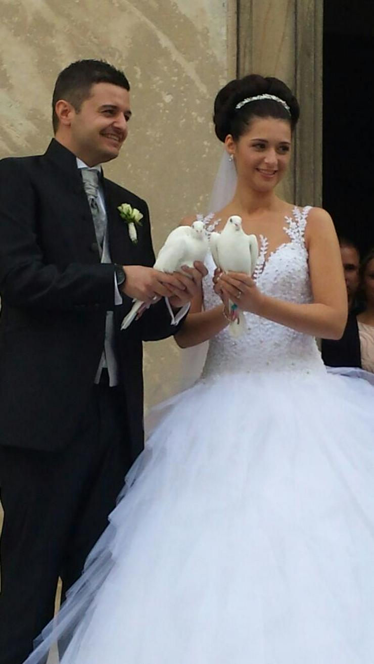 Bild 6: Weiße Hochzeitstauben Tauben zur Hochzeit Trauung Trier Konz 