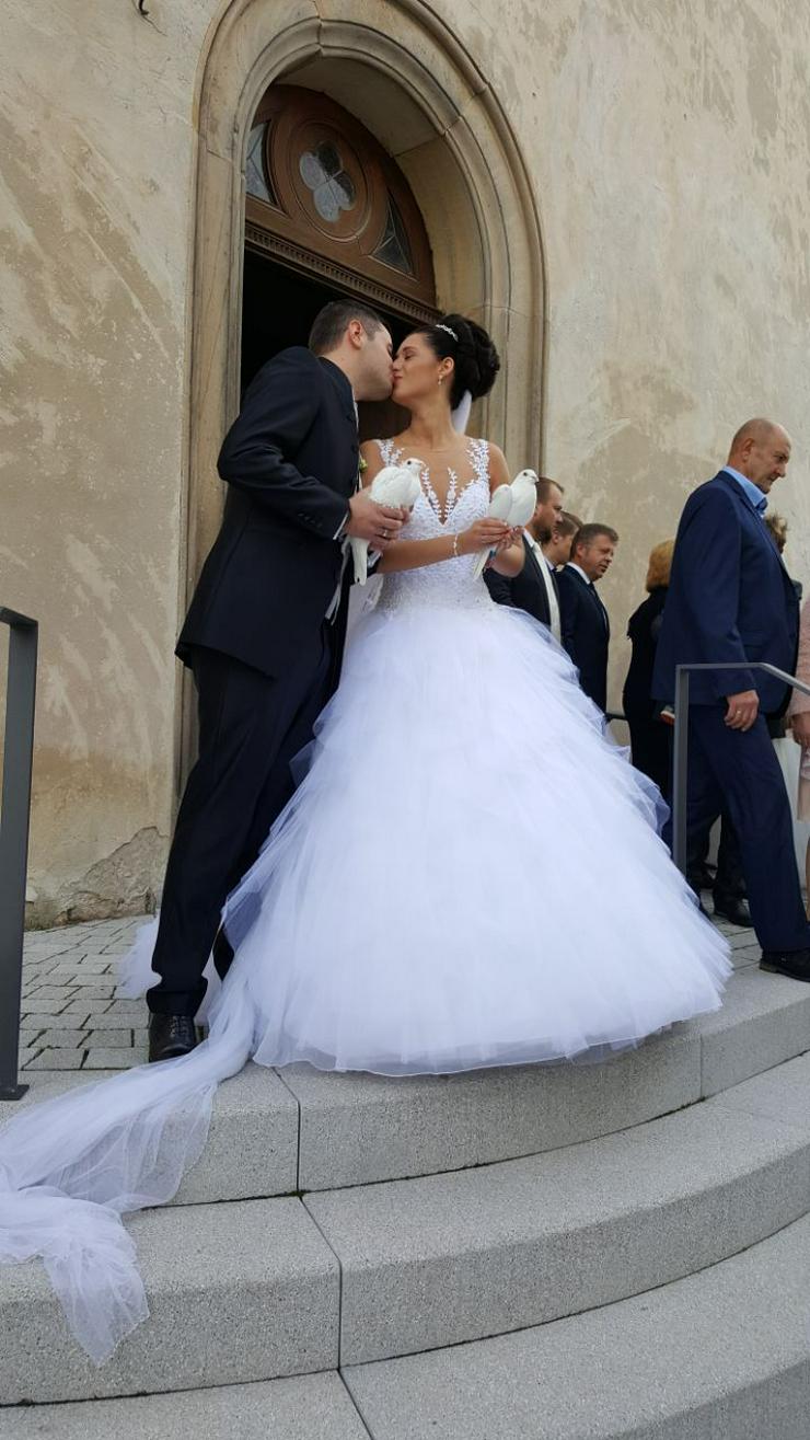 Bild 5: Weiße Hochzeitstauben Tauben zur Hochzeit Trauung Trier Konz 