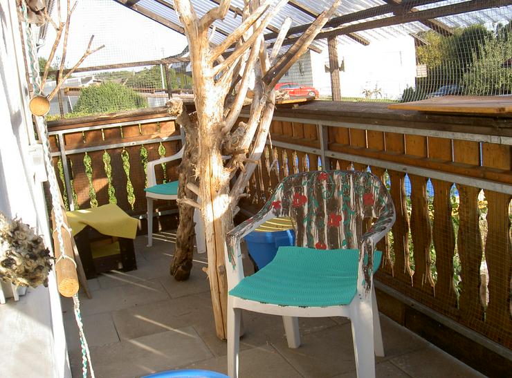 Bild 4: Katzenpension "Körbchen frei"