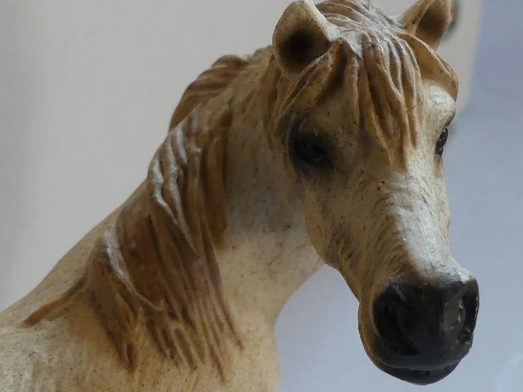 Bild 4: Camargue Stute 13609 Neu Ovp Mit Fahne von Schleich Rarität (auch zu verschicken)
