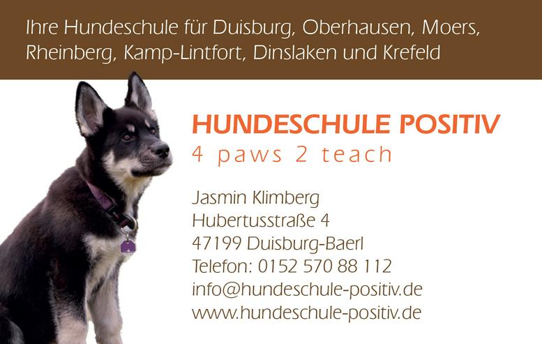 Bild 2: Welpenkurs Welpenschule Welpenstunde Welpentraining Duisburg Moers Rheinberg Kamp-Lintfort Dinslaken Oberhausen