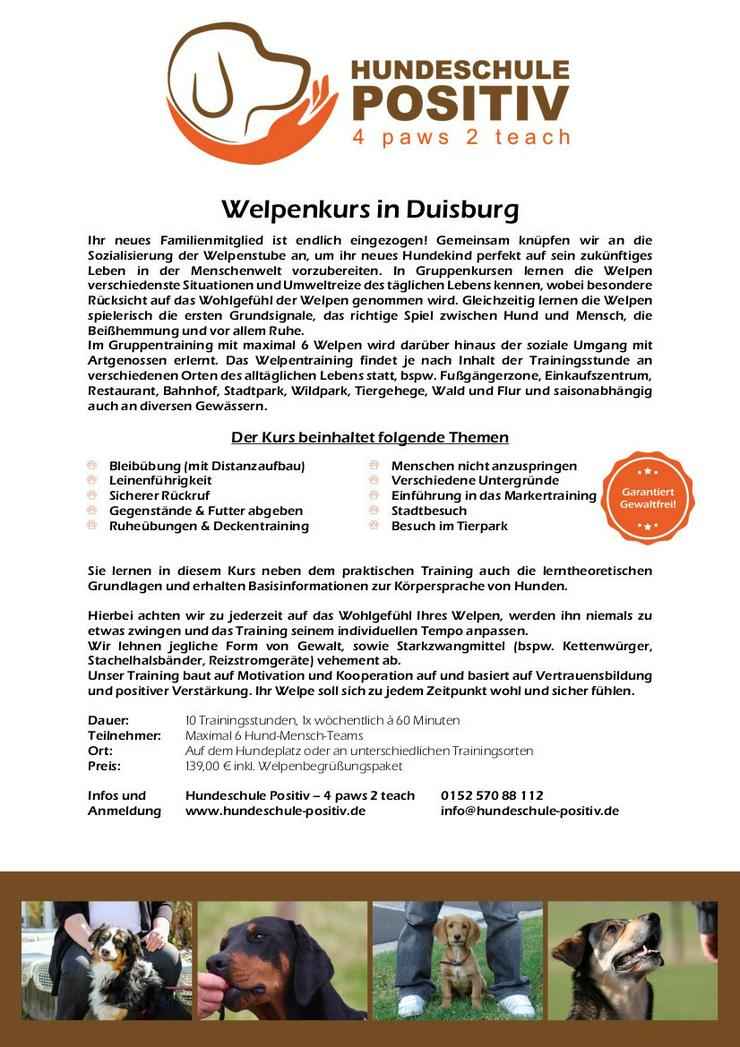 Welpenkurs Welpenschule Welpenstunde Welpentraining Duisburg Moers Rheinberg Kamp-Lintfort Dinslaken Oberhausen - Tierbetreuung & Training - Bild 1