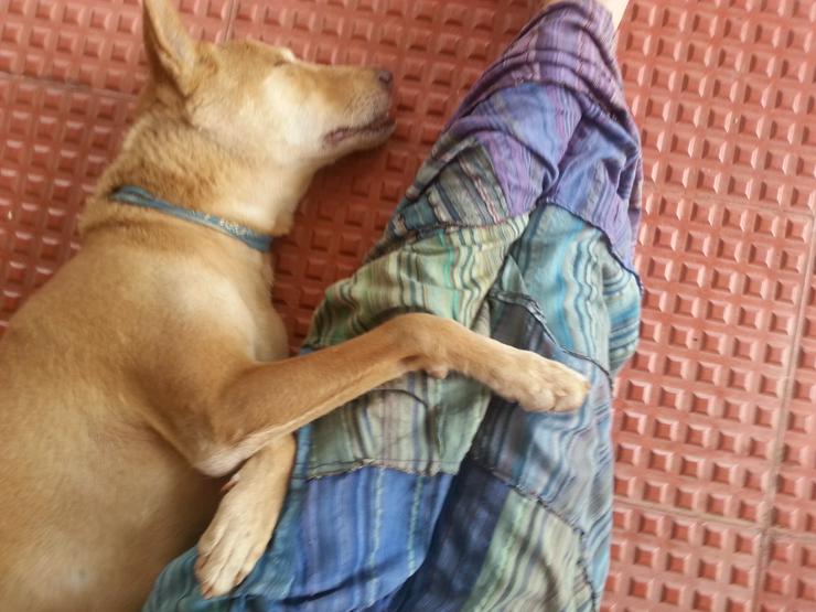 Bild 3: Meditative Massage - Lebensenergie in Balance