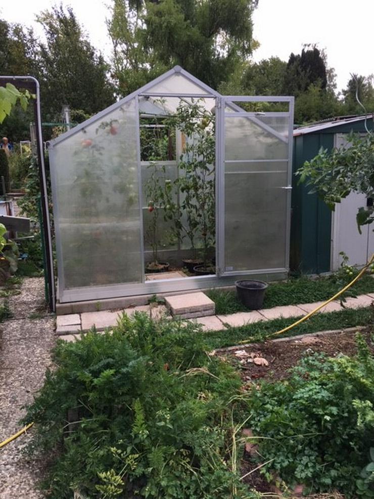 Bild 3: schönen gepflegten Kleingarten im Laatzen