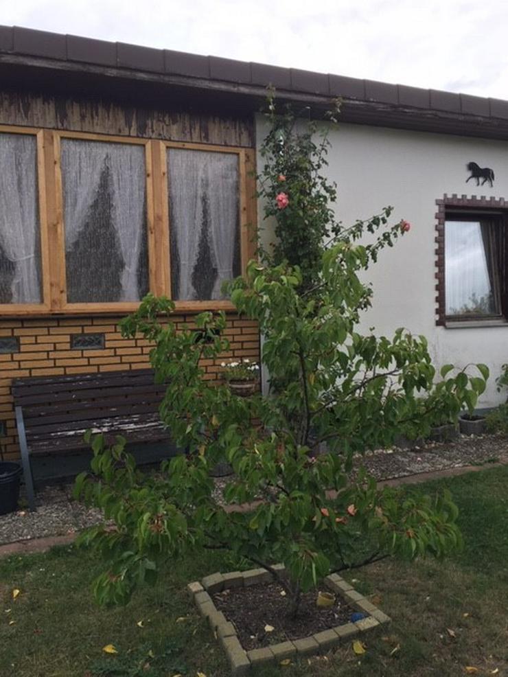 Bild 2: schönen gepflegten Kleingarten im Laatzen