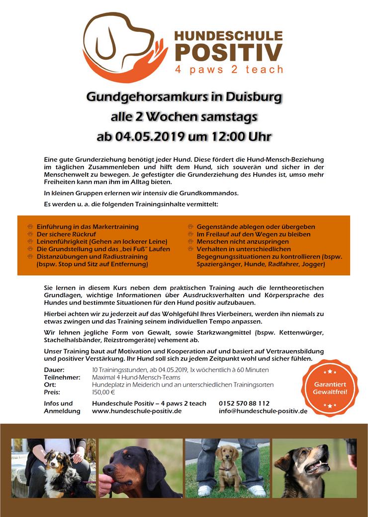 Grundgehorsamkurs ab Samstag 04.05.2019 Hundeschule Hundetraining Grunderziehung - Tierbetreuung & Training - Bild 1
