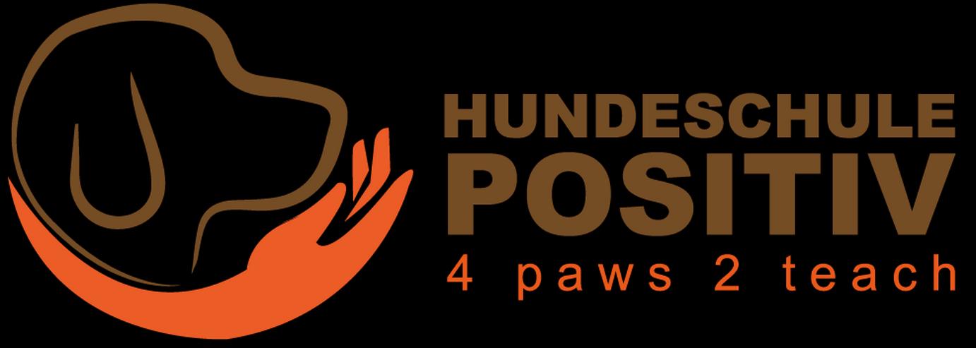 Bild 5: Grundgehorsamkurs ab Samstag 04.05.2019 Hundeschule Hundetraining Grunderziehung
