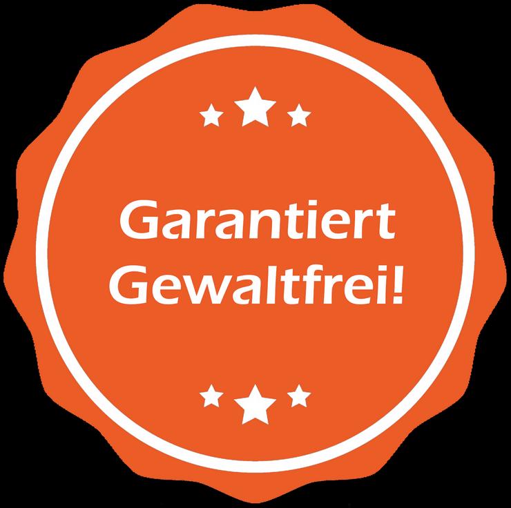 Bild 4: Grundgehorsamkurs ab Samstag 04.05.2019 Hundeschule Hundetraining Grunderziehung