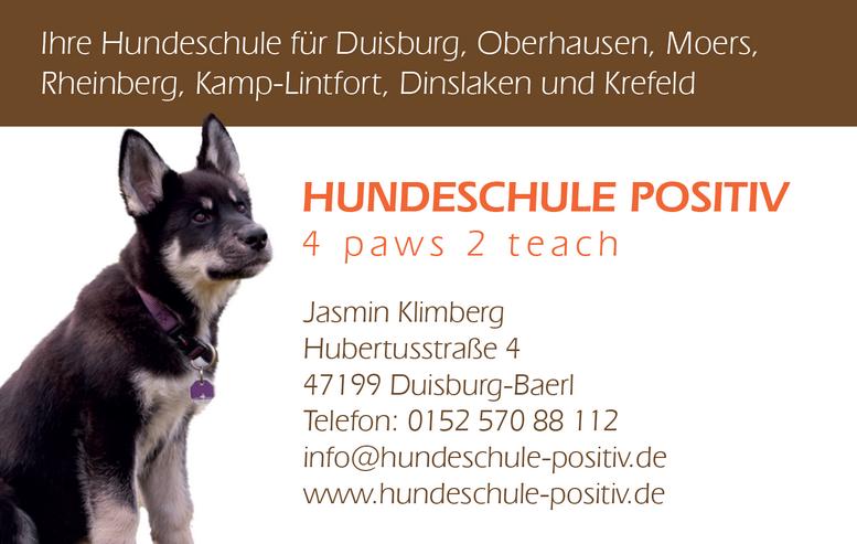 Bild 2: Grundgehorsamkurs ab Samstag 04.05.2019 Hundeschule Hundetraining Grunderziehung