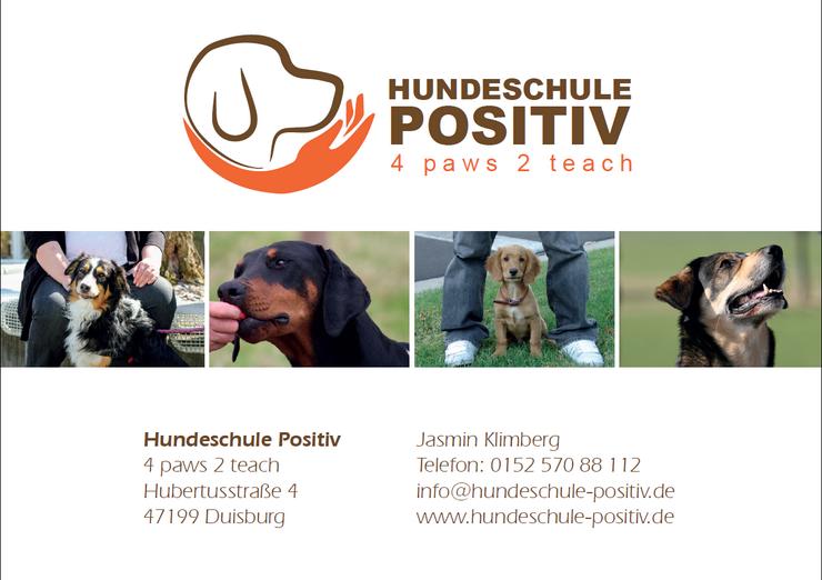 Bild 3: Grundgehorsamkurs ab Samstag 04.05.2019 Hundeschule Hundetraining Grunderziehung